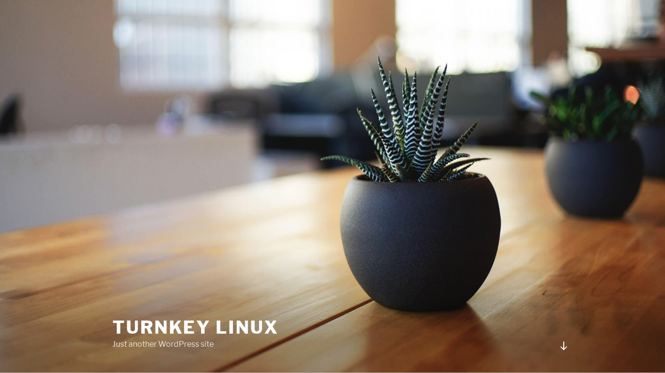 A WordPress site running on the TurnKey WordPress appliance