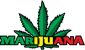 Marijuana Dispensary Online Store's picture Marijuana Dispensary Online Store's picture