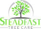 steadfasttreecare's picture steadfasttreecare's picture