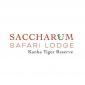 Saccharum Safari's picture Saccharum Safari's picture