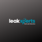 Leaks Xperts's picture