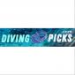 Diving Picks's picture