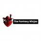 The Fantasy Ninjas's picture The Fantasy Ninjas's picture