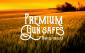 Premium Gun Safes's picture Premium Gun Safes's picture